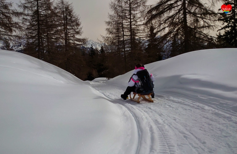 Wanderung zur Schönbergalm