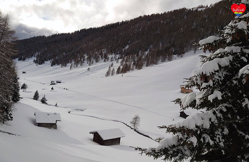 Winterwanderung Altfsstal - Meransen/Südtiroll