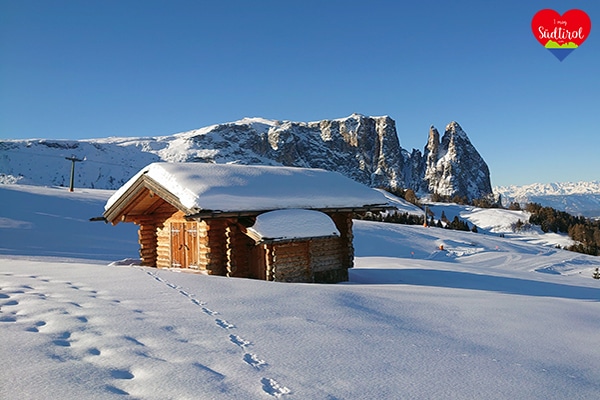 Read more about the article Rundwanderung Seiseralm (Winter Südtirol)