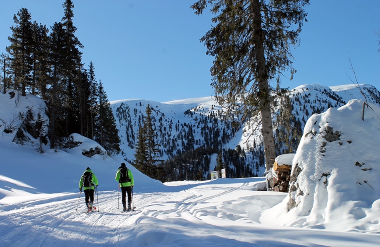 BObereggen – Ganischgeralm – Almen in Südtirol – Winterwandern Südtirol - I mog südtirol – Wandern in Südtirol -Skigebiet Obereggen