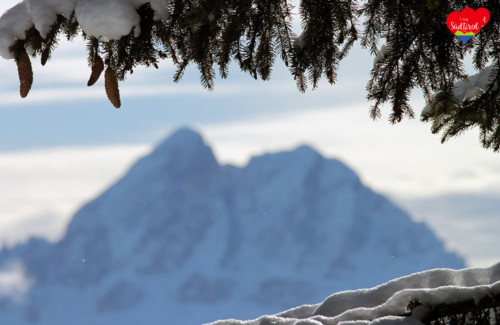 Wanderung zur Roneralm - Blick Peitler Kofel