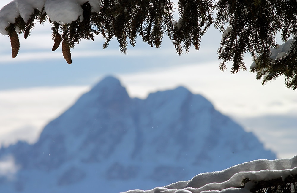 Roneralm – Rodeneckeralm - Rodeneck - Almen in Südtirol – Winterwandern Eisacktal - I mog Südtirol – Wandern in Südtirol