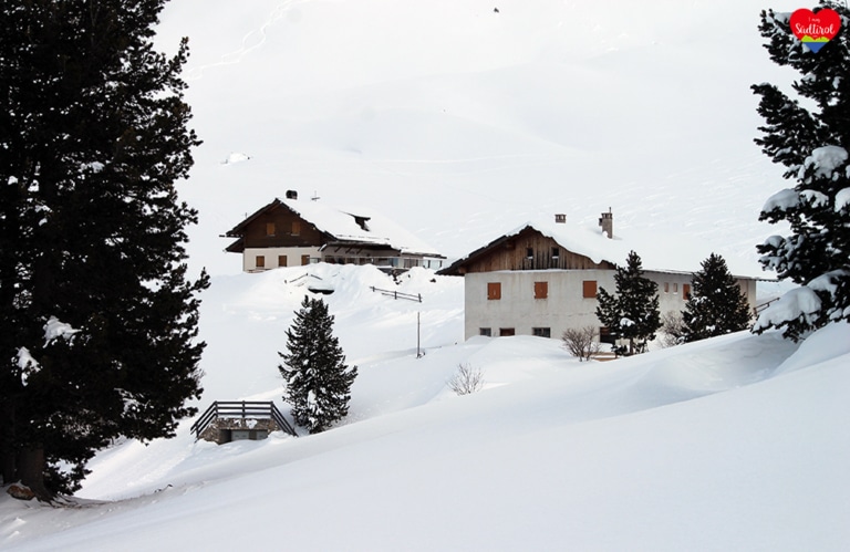 Wintertour zur Gampenalm - Gampenalm