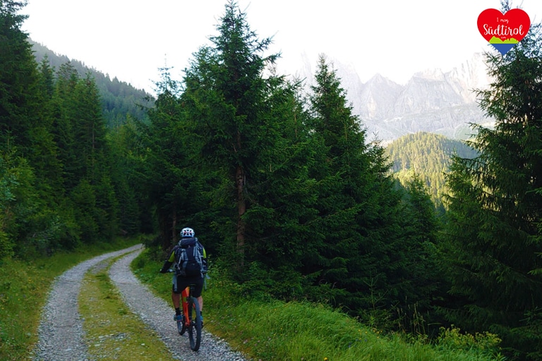 www.imogsuedtirol.com