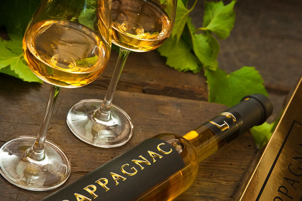 Read more about the article Grappa