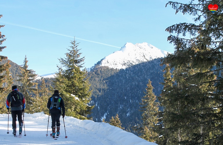 Wintertour zur Taistneralm - Südtirol