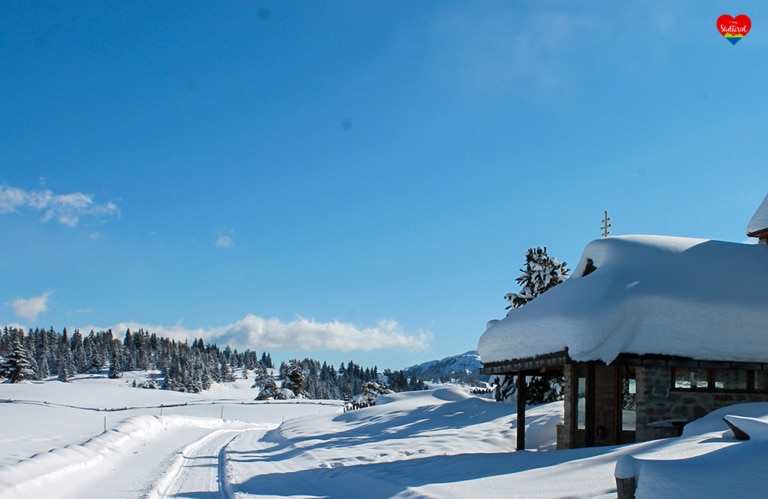Winterwanderung auf der Rodeneckeralm -