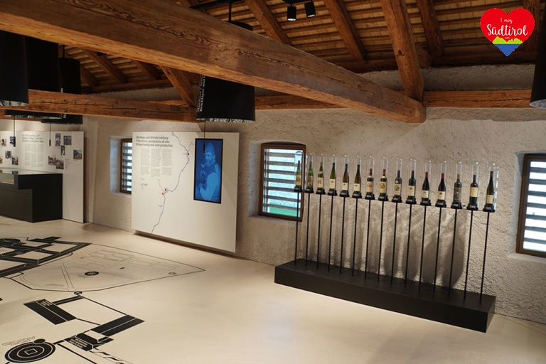 www.imogsuedtirol.com