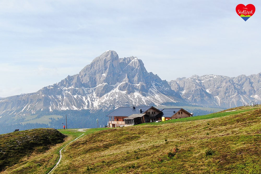 www.imogsuedtirol.com