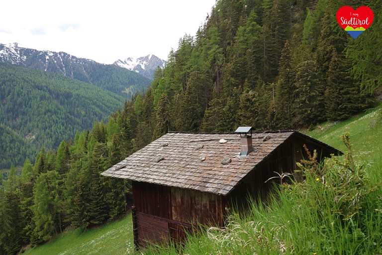 www.imogsuedtirol.com