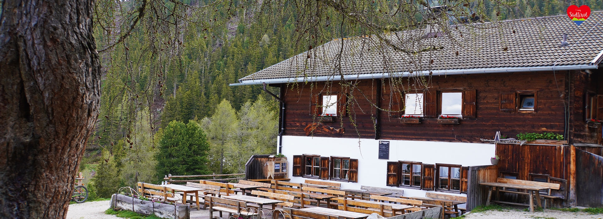 www.imogsuedtirol.com
