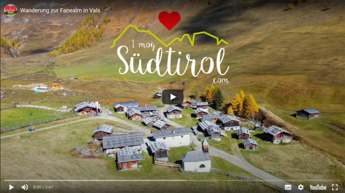 Video-Bild