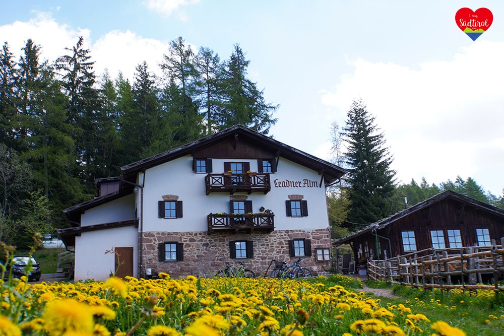 Read more about the article Tour zur Leadneralm
