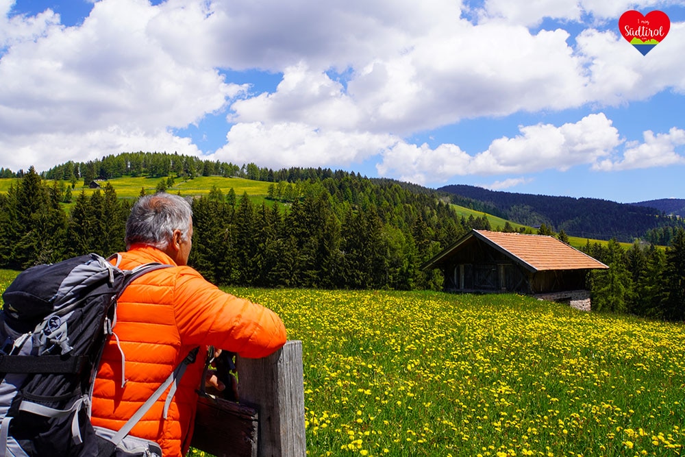 www.suedtirol-concerts.com