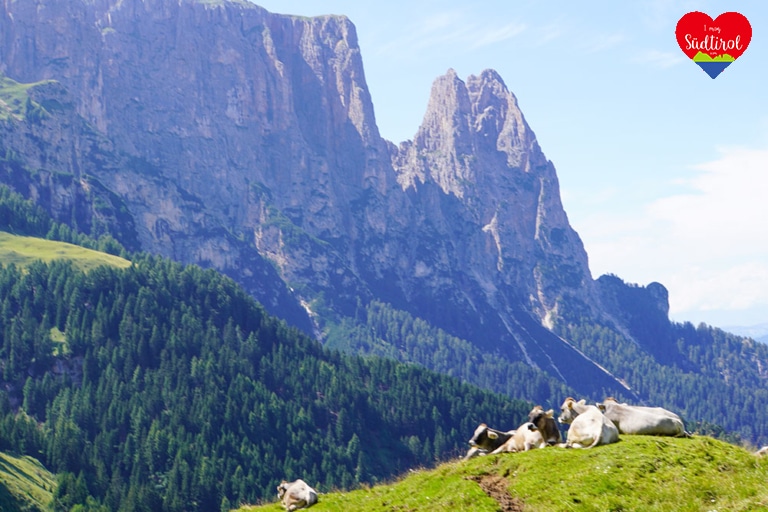 Wanderung-Seiser-Alm-Schlernhaus240