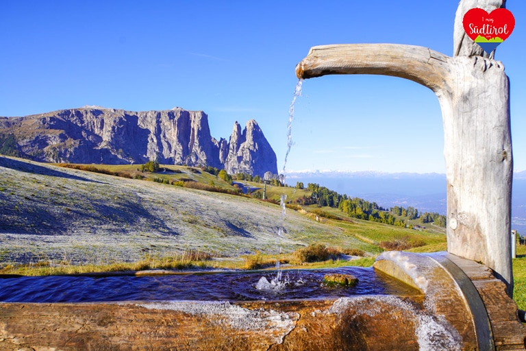 Wanderung-Seiser-Alm063