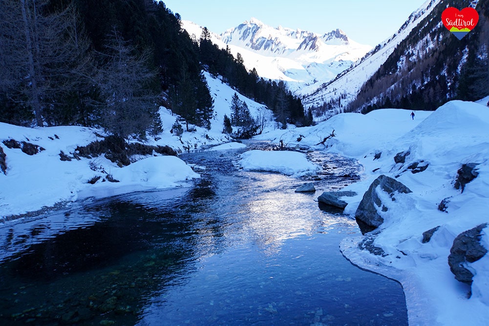 Read more about the article Winterwanderung zur Knutten Alm [+VIDEO]