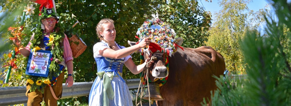 almabtrieb-meransen-161