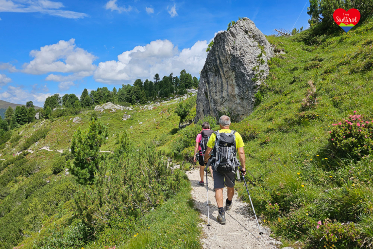 Dolomiten Wandern Peitlerkofel (32)