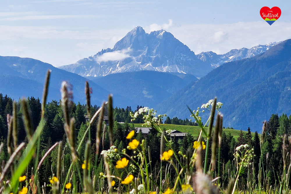 Gitschberg Jochtal Hotels Rodeneck Alm007