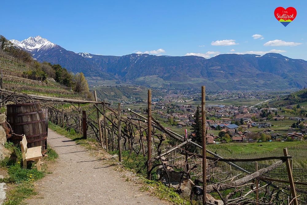 Hotels In Algund Blick Vom Algunder Waalweg