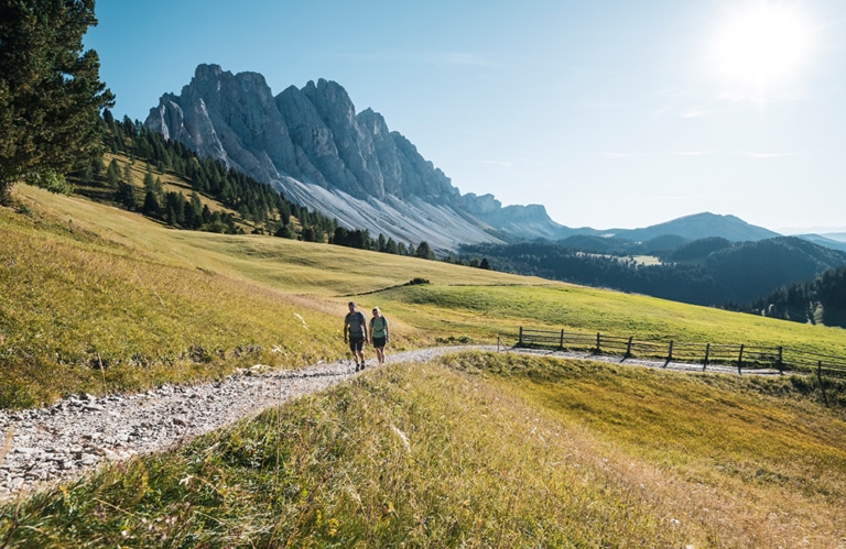 Villnösser Alm