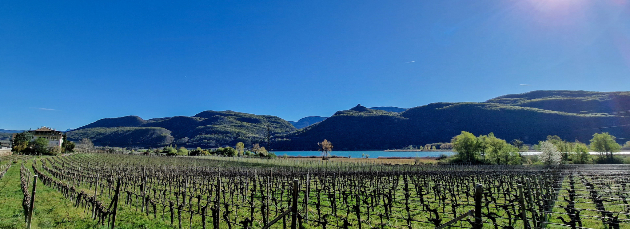 Kalterer See I Mog Suedtirol