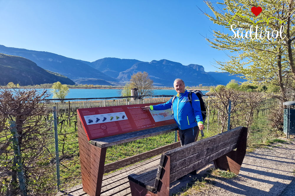 Kalterer See Rundwanderung I Mog Suedtirol 051