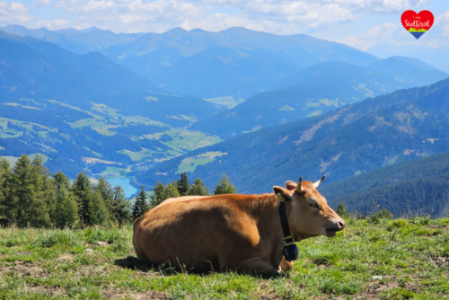 Kronplatz Wandern Artis Panoramaweg (17)