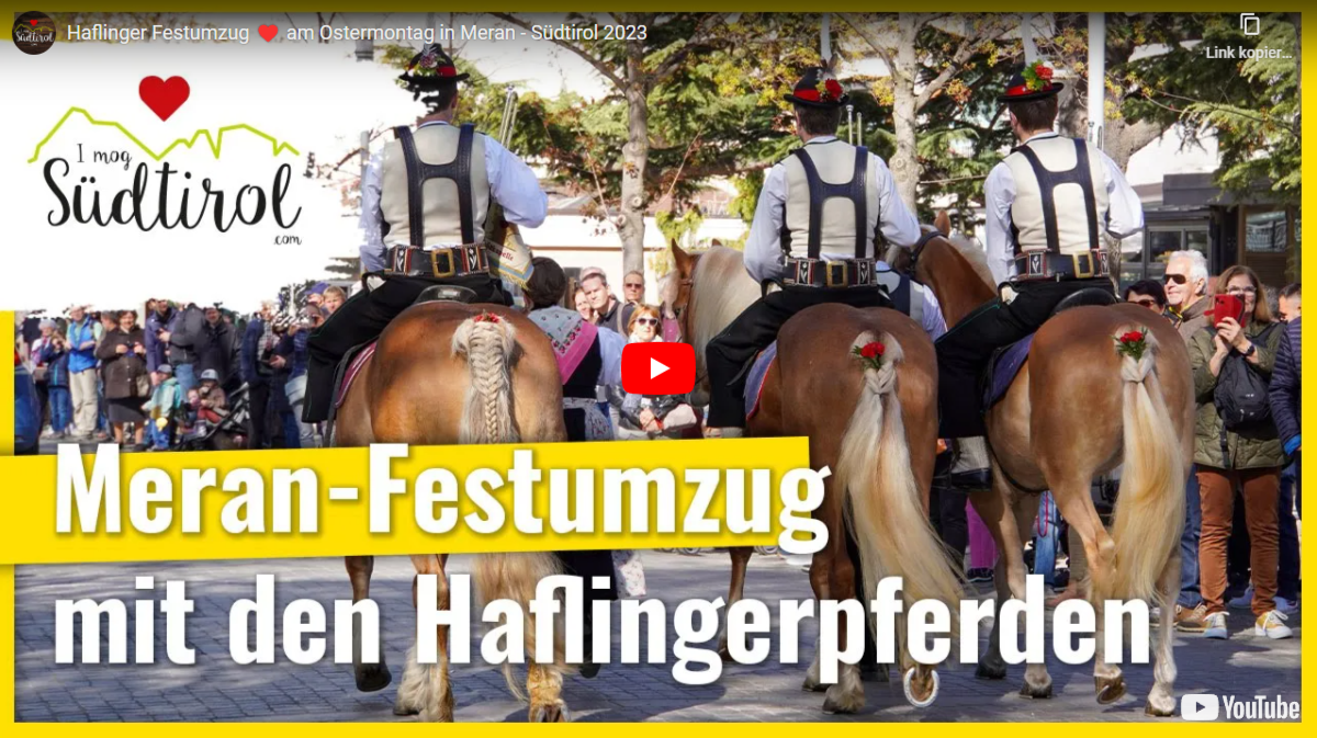 Oster Umzug Meran Haflinger I Mog Suedtirol