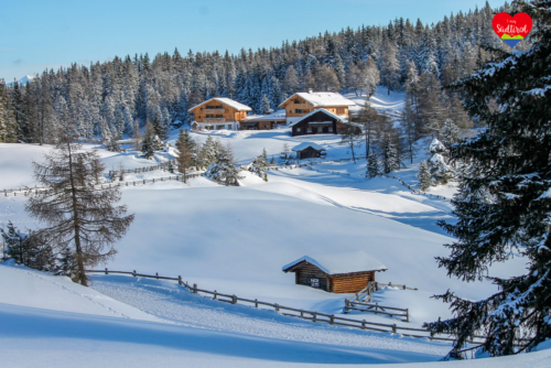 Rodenecker Alm Winter Wanderung Roner Alm I Mog Suedtirol 139
