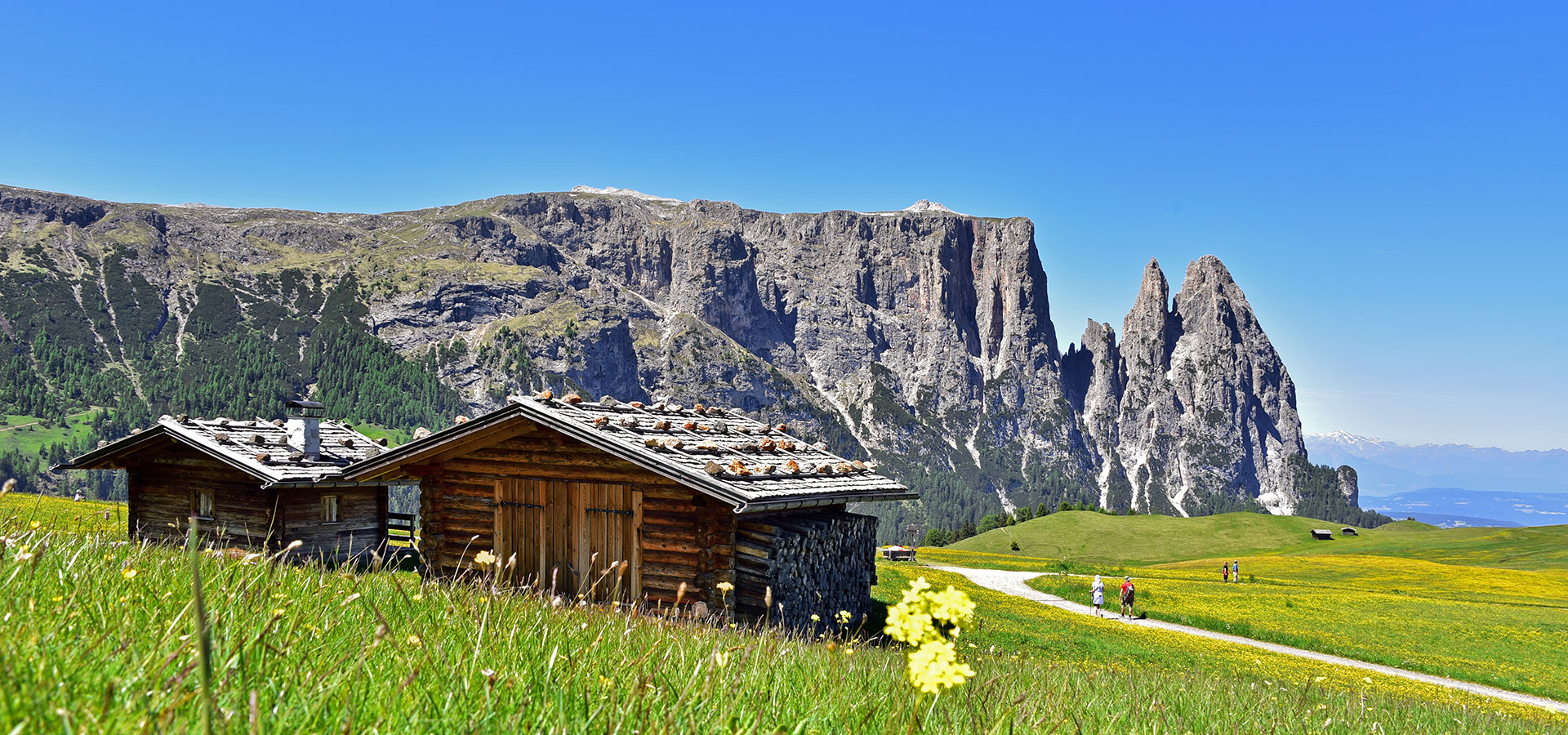 seiser-alm