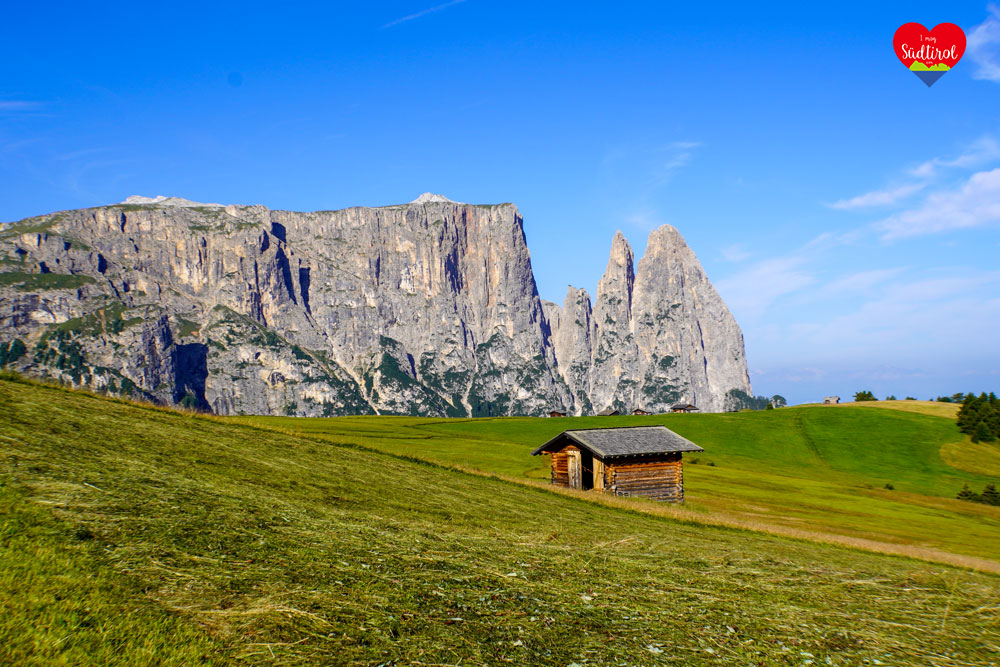 Read more about the article Seiser Alm Wandern