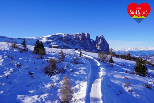 Winterwanderung Seiser Alm – Goldknopf