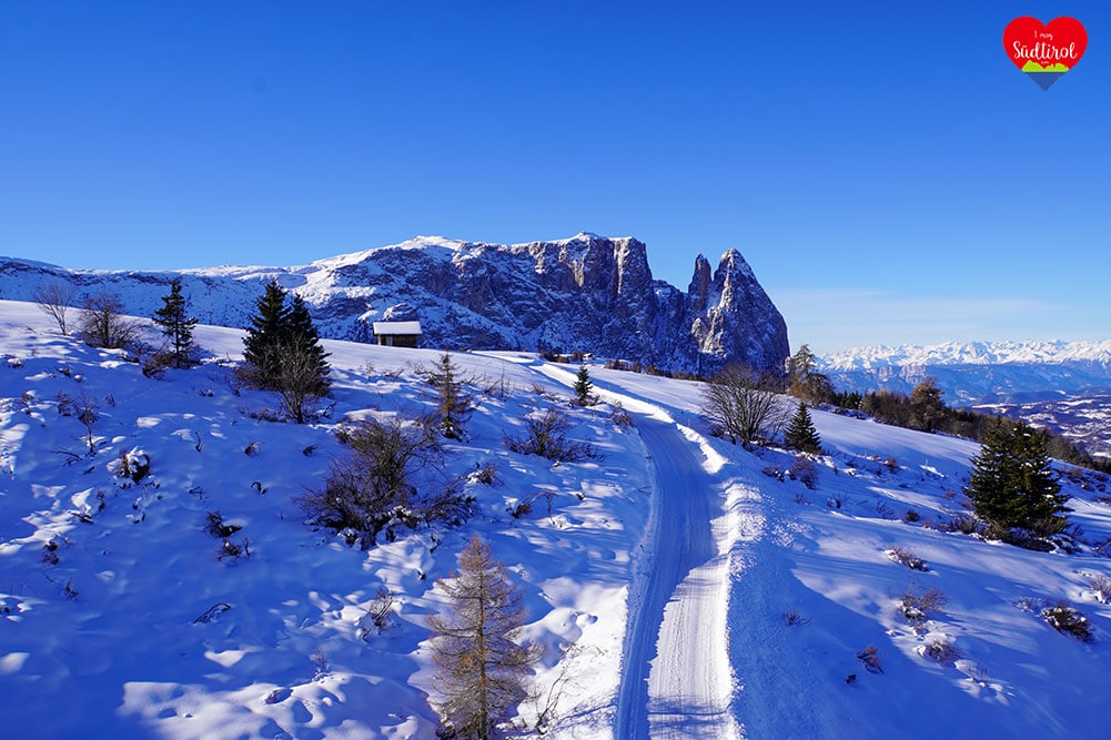 Read more about the article Winterwanderung Seiser Alm – Goldknopf