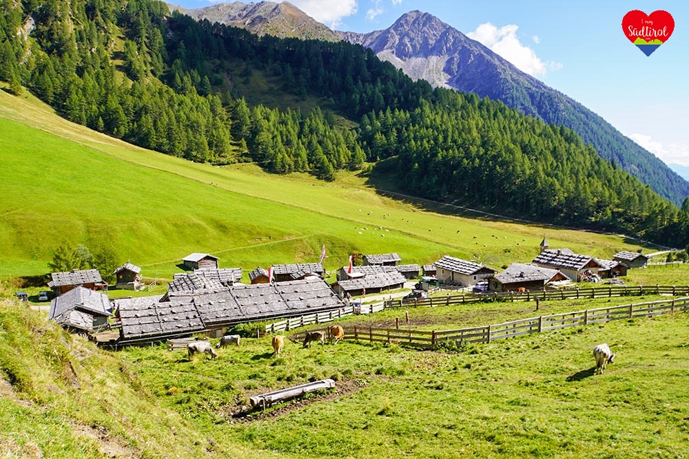 Blick Fanealmdorf von oben