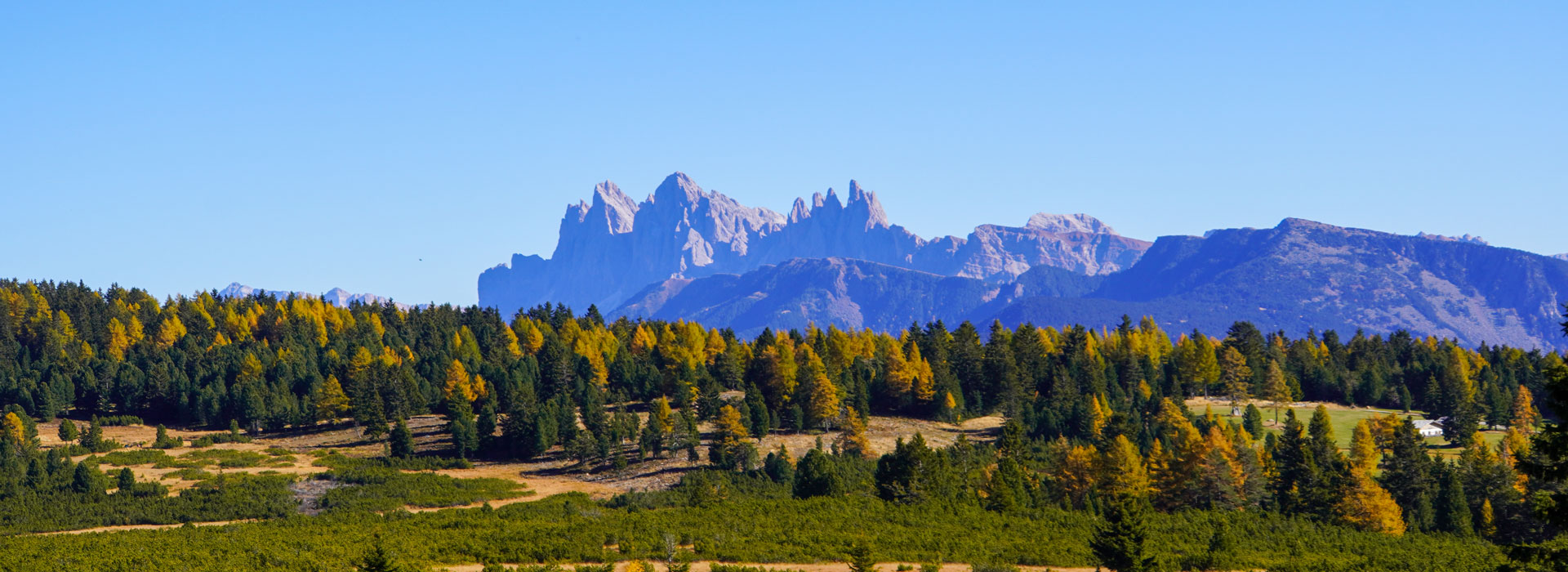 Villanderer Alm Herbst Blick Dolomiten