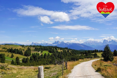 villanderer-alm-suedtirol-rundwanderung1000