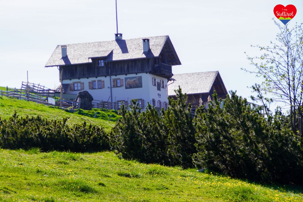 villanderer-alm-suedtirol003