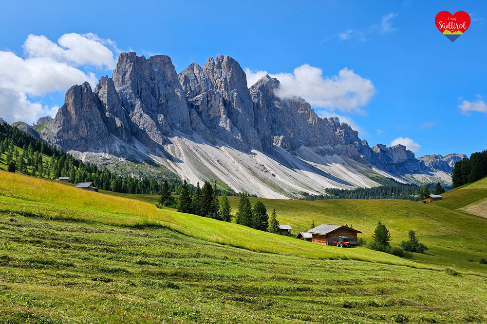 Vilnösser Alm Almwiesen