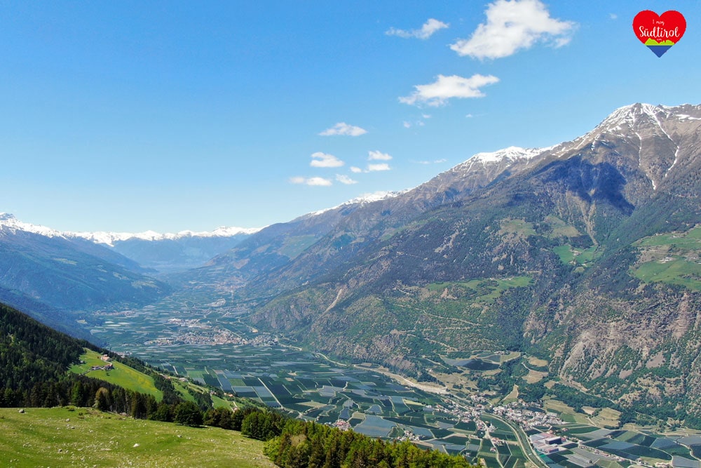 Read more about the article Vinschgau