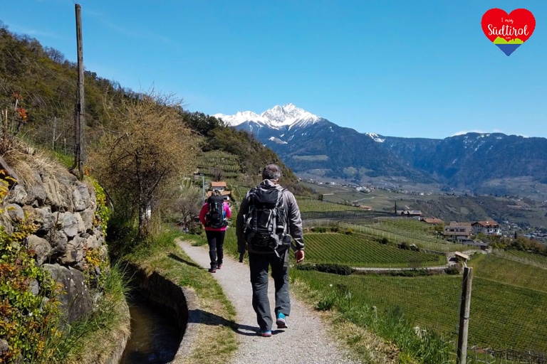 Wandern Algunder Waalweg Tappeinerweg 100