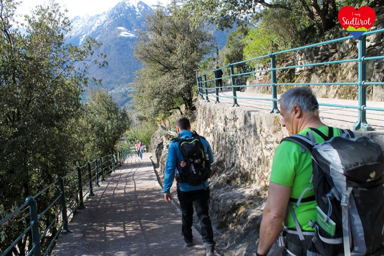 wandern-algunder-waalweg-tappeinerweg_46