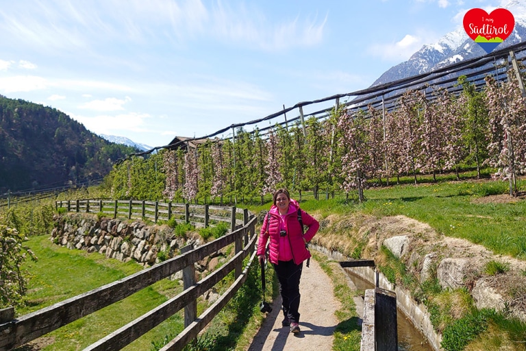 wandern-algunder-waalweg-tappeinerweg_60