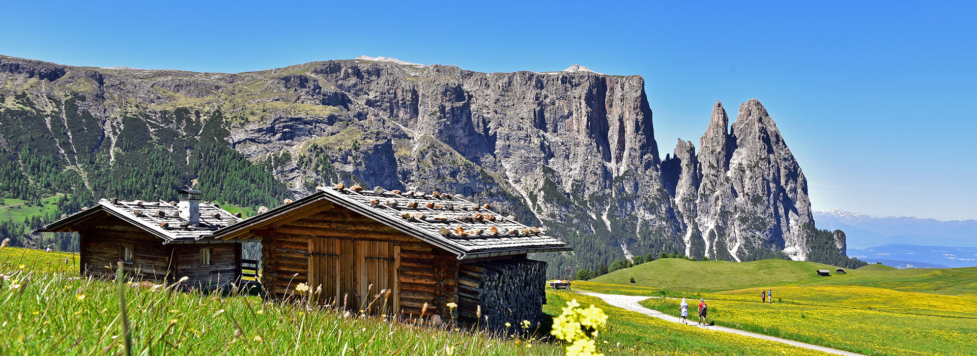 wandern-seiser-alm-suedtirol