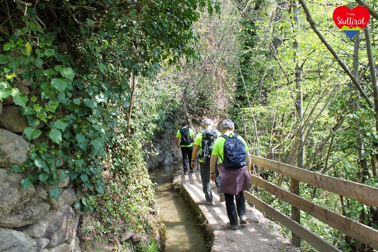 wanderung-maiser-waalweg_87