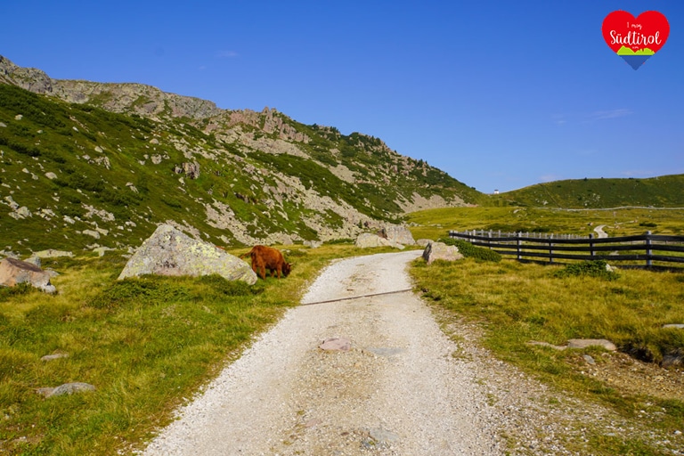 wanderung-pfroderal-totenkirchl-villandereralm037