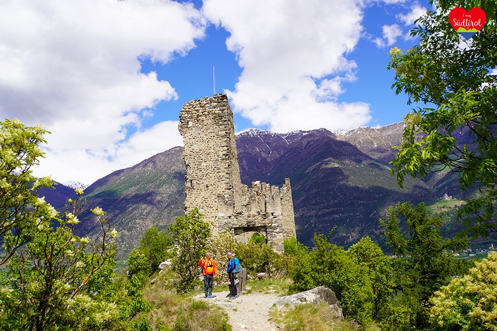 wanderung-zu-den-burgruinen-von-montani_33