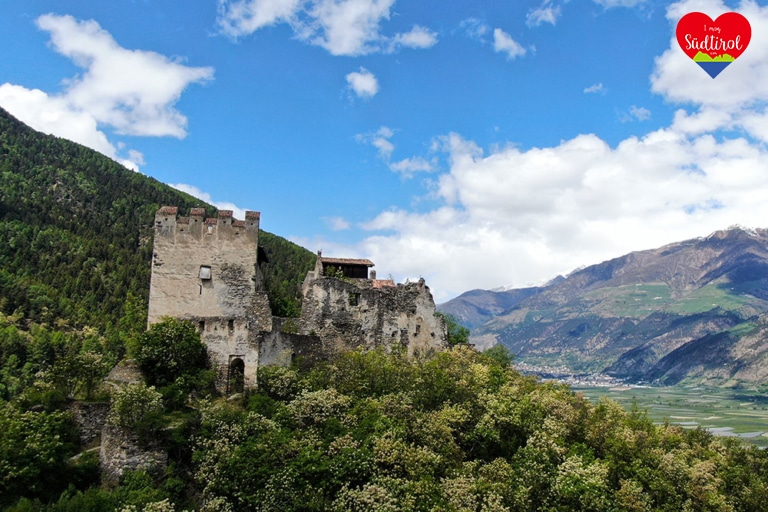 Burg-Obermontani