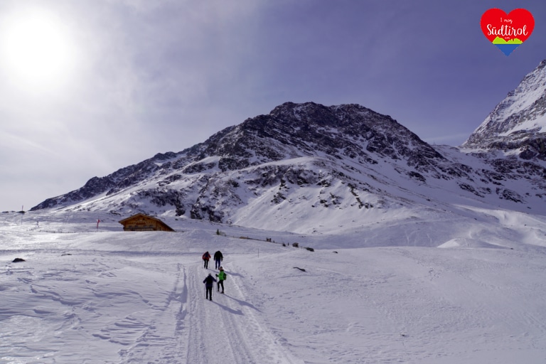 winterwanderung-lazinser-alm-pfelders-rückwanderung
